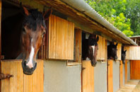 free Great Lea Common stable construction quotes